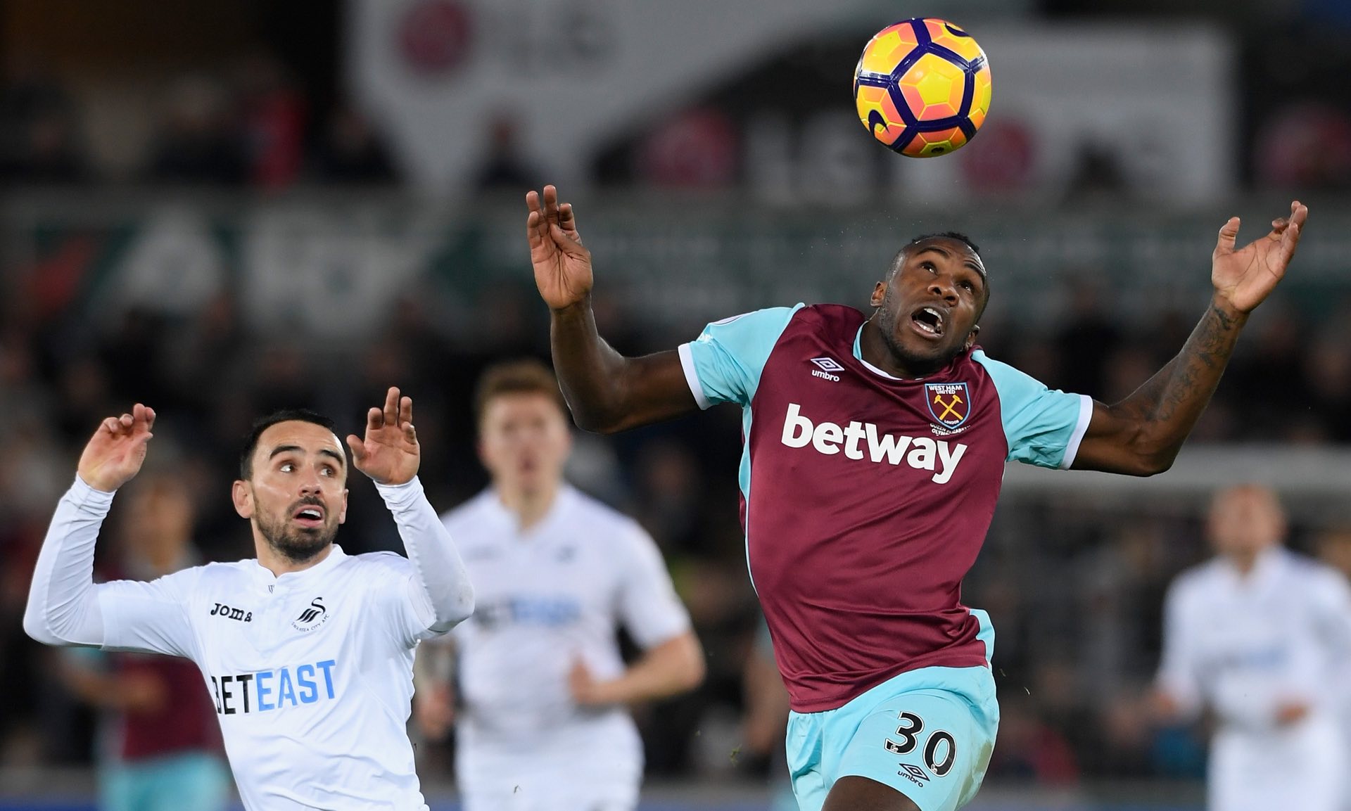 一个典型的 一个典型的